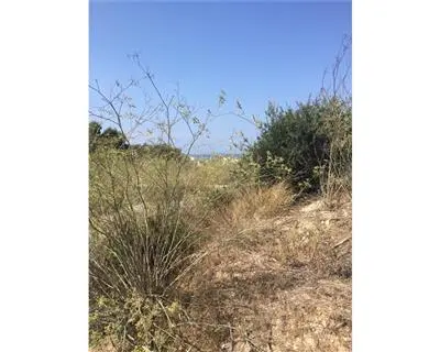 Land for sale in St Paul's Bay