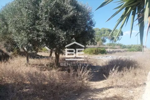 Land For Sale in Siggiewi