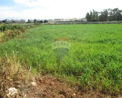 Land for sale in Zejtun