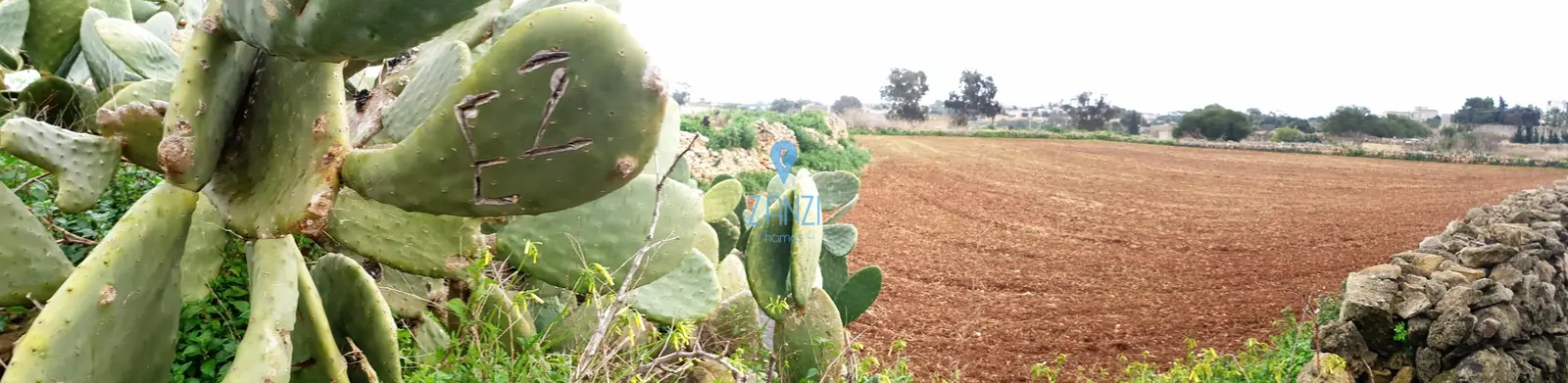 Land for sale in Gharghur