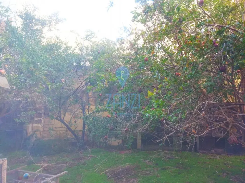 3 bedroom Terraced House for sale in Zejtun