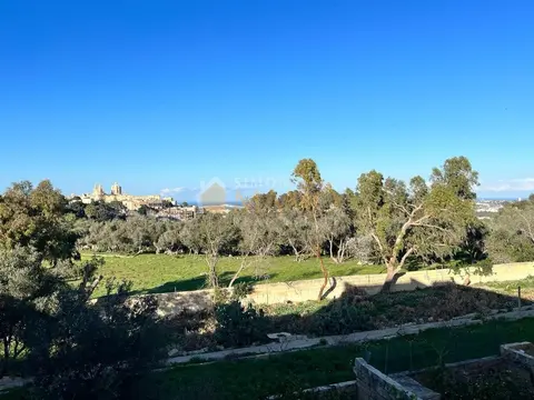 Maltese Traditional Townhouse: Character and Potential in Rabat