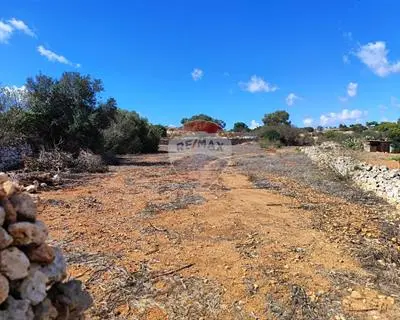 Agriculture Land for sale in Dingli