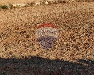 Agriculture Land for sale in Siggiewi