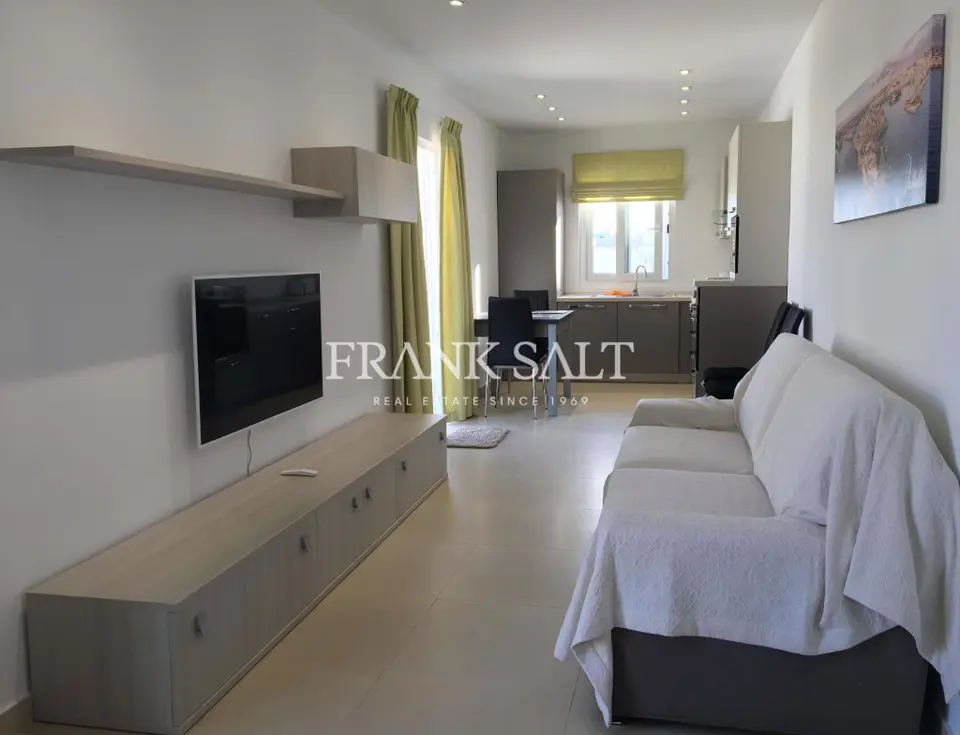 Sliema, Furnished Penthouse