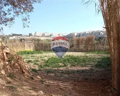 Land for sale in Ghaxaq