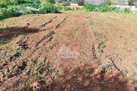 Farm Land For Sale in Dingli