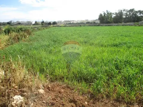 Land for sale in Zejtun