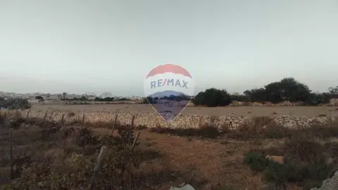 Agriculture Land for sale in Zejtun