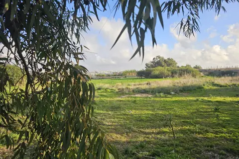 Land For Sale in Rabat