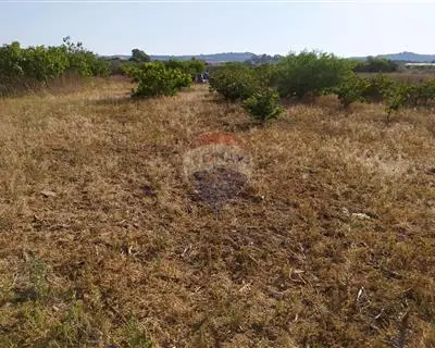 Land for sale in Zebbug