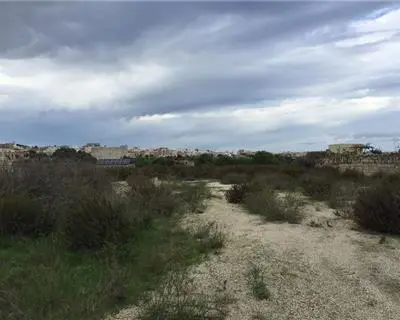 Agriculture Land for sale in Siggiewi