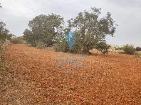 Land / Site / Plot for sale in Safi