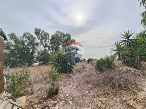 Agriculture Land for sale in Dingli