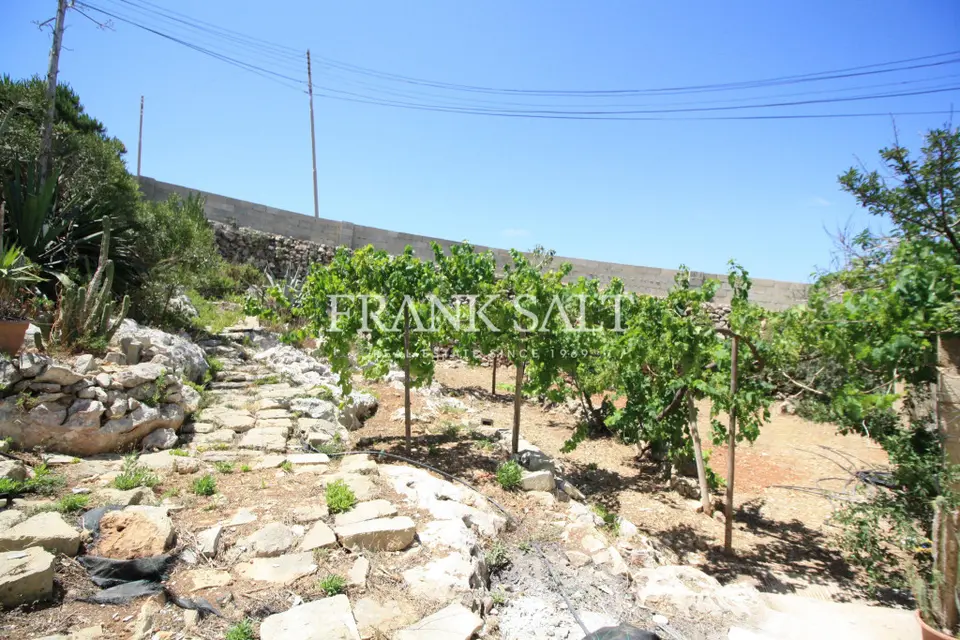 St Pauls Bay, Unfurnished Terraced House