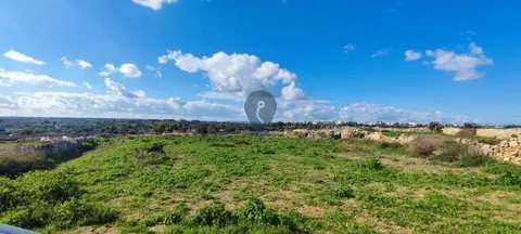 Field for sale in Birzebbuga