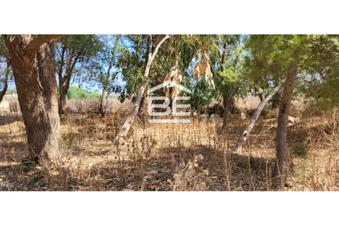 Land For Sale in Attard