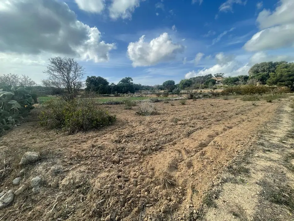 Field for sale in Rabat
