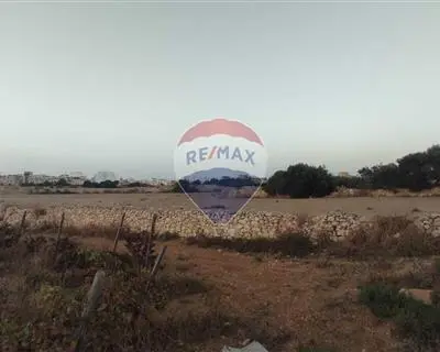 Agriculture Land for sale in Zejtun