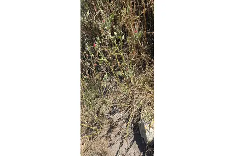 Land For Sale in Gozo - Kercem